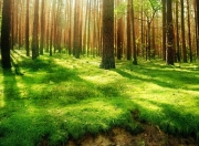 开云体育-米切尔奥运前哨战封神！浙江队踏平猛龙，关键接管诠释巨星本色