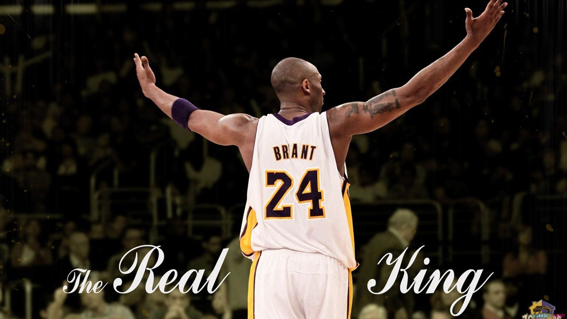 安赛龙惊艳四座，韩国队绝杀印度队—当唯一性在赛场绽放